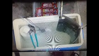 Experimental bait tank filter test.