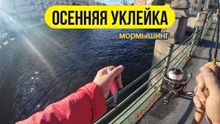 #мормышинг | Ловим уклейку на Невских каналах | Graphiteleader Bellezza GLABS-602SXUL |