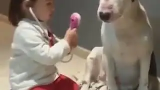 23) Interacci&oacute;n con la mascota