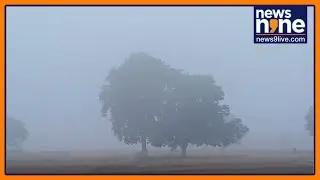 Unseasonal Fog Covers Mayurbhanj District in Odisha | Weather Surprise in June | News9