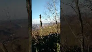 the beauty of Appalachia #shorts #appalachia #appalachian #appalachianmountains #nature