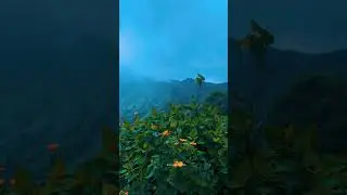 View from Topstation Munnar #topstation #munnarroad