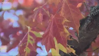 WATCH: Fall colors and mountain views around the Columbia River Gorge