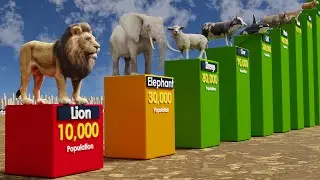 Animal Populations 3D COMPARISON
