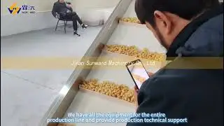 Jinan Sunward Fried snack food making machine processing line fried chips line