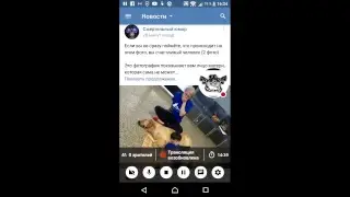 ЮБИЛЕЙ!!! 20 ПОДПИСЧИКОВ! БЕСПЛАТНЫЙ ПИАР!
