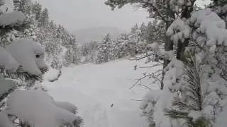 voluntariat skimo6
