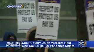 Hundreds Of Cook County Workers Stage One-Day Strike, Demanding Pandemic Pay