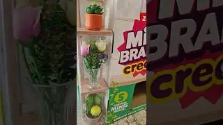 Opening the Mini Brands Create Garden Series Display Box!! #minibrands #plants #toys