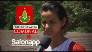 Plan Siembra Comunal 2016 Financiamiento para Movimiento juvenil Simón Planas