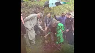 Tree Plantation Drive 2023 | Kohsar University Murree