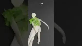 Crazy Cabbage Idea 💡