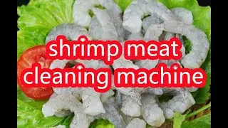 shrimp washing machine, shrimp cleaning machine, shrimp washer, shrimp cleaner, #shrimp