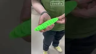 ZING demo