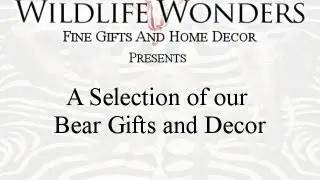 Bear Gift Sampling Video from Wildlife Wonders