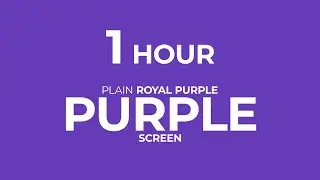 1 Hour of Royal Purple Screen | Chroma Relax #purple #purplescreen #violate #bluescreenvideos #blue