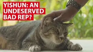 Yishun: An Undeserved Bad Rep? | Talking Point | CNA Insider