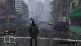 Grand Theft Auto V fsils