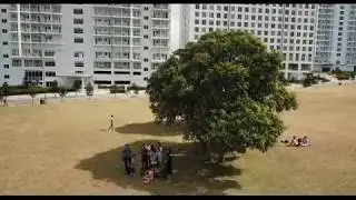 SMDC Wind Residences Tower 4