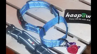 Martingale dog collar 2 pak