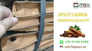 SPLIT CASSIA - HOT SELLING SPICE IN VIETNAM