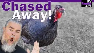 Backyard RV Resort | Sweet Creek Farm Market // RV Life