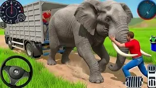 Animal Cargo Truck Driving Game 3D - Animal Transport Cargo Truck 2026 - Android Gameplay