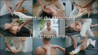 L'ESSENTIEL du structurel: les charni&egrave;res vert&eacute;brales
