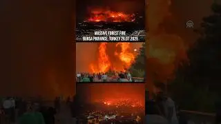 Massive forest fire in G&uuml;rsu, Bursa Province, Turkey 26.07.2025 #turkey #fire #life