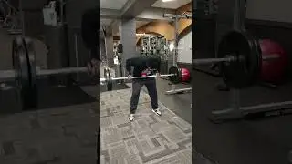 Reversible Grip 225LBS