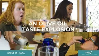 Taste the Mother-Daughter Olive Oil Empire-and Krug history-at Grove 45, Napa | Travel Like a Woman