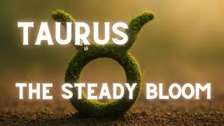 ✨ TAURUS THEME - THE STEADY BLOOM | ZODIAC INSTRUMENTAL MUSIC