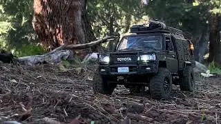2026.01.08 - MN82 (Toyota LC79)