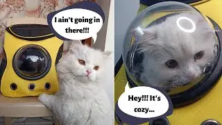 I bought Space Backpack for my Cat | Space backpack review | UPET Carrier Review | Lets Try Out
