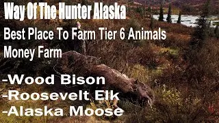 Way Of The Hunter Alaska, Best Place To Farm Tier 6 Animals, Money Farm