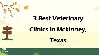 3 Best Veterinary Clinics in Mckinney, Texas | Animal Hospitals