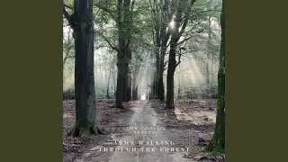 Calming Footsteps