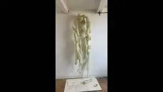 In het atelier van Katrien Vogel