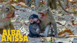 Lovely Monkey Alba Really Pity And Love Sister Anissa