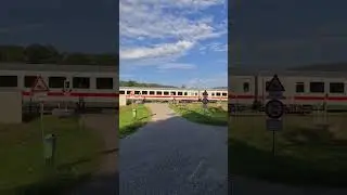 218 424+446 mit IC 2013