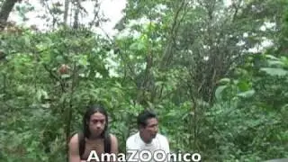 Amazon Rainforest, Ecuador