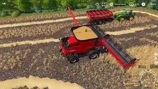 FS19 Med Creek Wheat Harvest (BRB the Big Red Beast!!!)