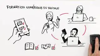 4.2 Les compétences de base et transversales