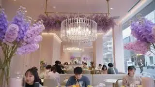 Peaceful Cafe Background Music for Relax, Focus & Study 🌿✨ | Cafe Note Ambience