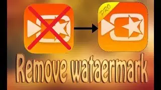 how to remove viva video watermark