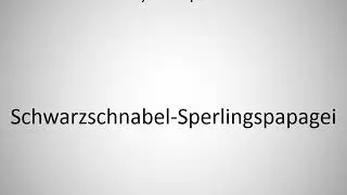 How to say dusky-backed jacamar in German?