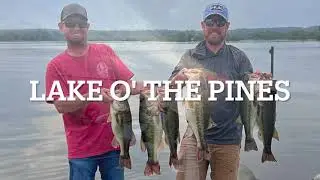 Lake O' The Pines