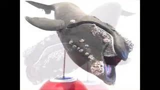 The new 10 inch Collecta North Atlantic right whale with calf Papo