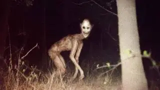 Тревожные кадры с неизвестными существами, обнаруженными на фотоловушке.
