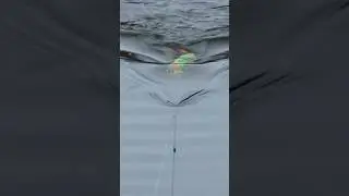 Kitchen Spoon Topwater Hack!